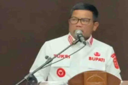 Profil Zukri Misran, Bupati Pelalawan