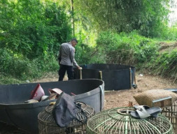 Arena Sabung Ayam di Desa Girimukti Digerebek Polsek Cibatu