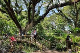 Hutan De Djawatan, Wisata Alam di Ujung Timur Pulau Jawa