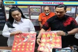 Sapi Bantuan dari Kementan Dijual Anggota Poktan Motekar untuk Bayar Hutang