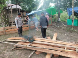 Polsek Belitang Hilir Bongkar Arena Sabung Ayam di Desa Tapang Pulau