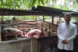 Masjid Bersejarah yang Menjadi Kandang Babi