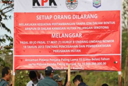 Lokasi Tambang Ilegal di Mandalika Disegel Gakkum Kehutanan