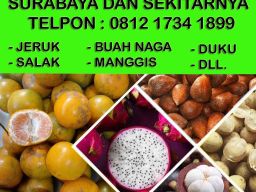Supplier dan Grosir Buah di Surabaya dan Sekitarnya