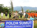 Perburuan 150 Ha Ladang Ganja oleh Polda Sumut Gunakan Teknologi Citra Satelit