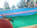 Aktivitas Judi Sabung Ayam di Desa Jetis Lamongan