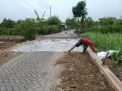 Proyek Jalan Cor di Desa Kedunguneng Mengabaikan Standar
