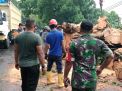 Danramil Balongbendo Bantu Evakuasi Beringin Tumbang