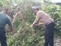 Polsek Balongbendo Gotong Royong Tangani Pohon Tumbang