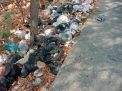 Sampah Menumpuk Di Tepi Jalan Desa Pucuk, Aroma Tidak Sedap Menyeruak