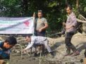Cegah Abrasi, Humas Polresta Sidoarjo Tanam Mangrove di Kawasan Pesisir