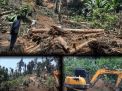 Gakkum KLHK Limpahkan Perkara Pembukaan Kawasan Hutan Ilegal di Kabupaten Donggala