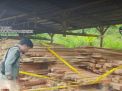 Tim Balai Gakkum LHK Wilayah Sulawesi Amankan Industri Pengolahan Kayu Ilegal