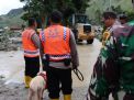 Anjing Pelacak Bantu Pencarian Korban Longsor di Humbahas