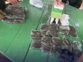 Operasi Gabungan Bea Cukai Gagalkan Penyelundupan Ganja