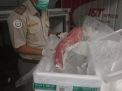Ratusan Kilogram Daging Tuna Diekspor ke Tiga Negara