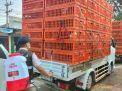 Ribuan Pullet Siap Menunjang Produksi Telur di Kapuas Hilir