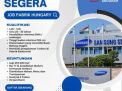 Dibutuhkan Segera Job Pabrik Samsung di Hungary
