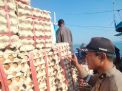 1 Ton Telur Ayam Asal Makassar Dikirim ke Sulawesi Utara