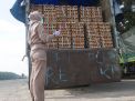 Sebelum ke Borneo, Telur Ayam Diperiksa Karantina Surabaya