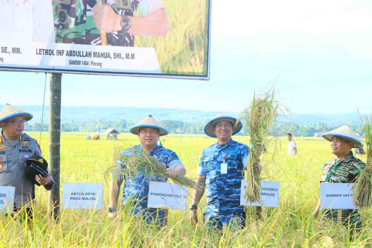 Panen Raya Padi Optimalisasi Lahan Rawa di Desa Mallongilongi