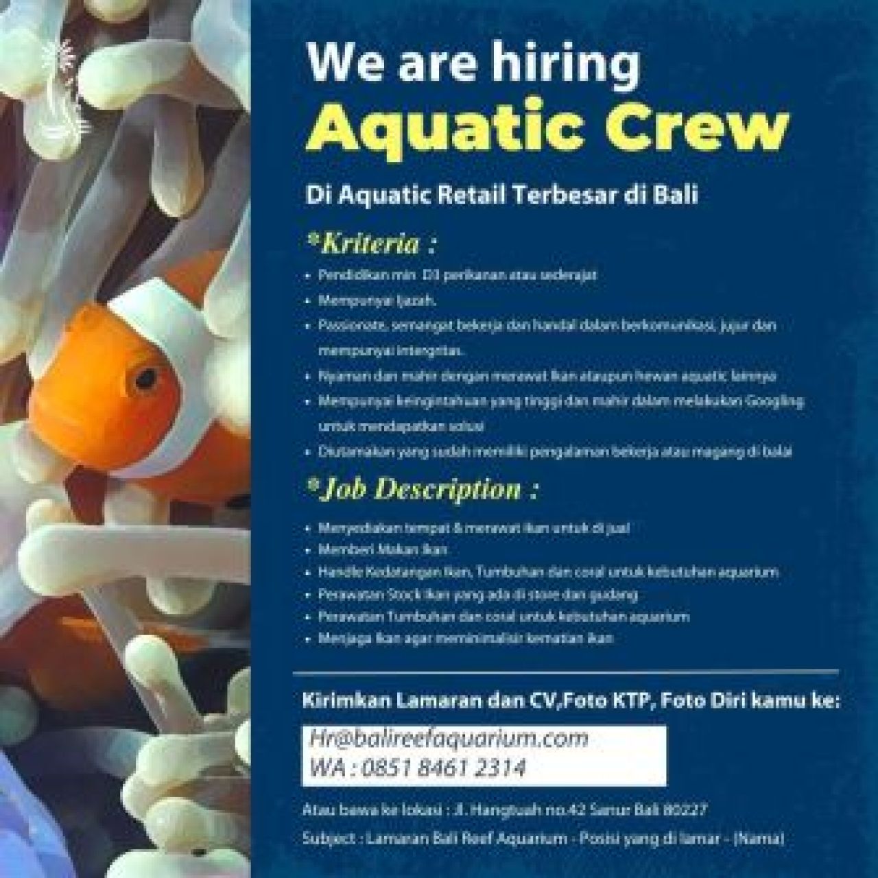 Bali Reef Aquarium Butuh Aquatic Crew