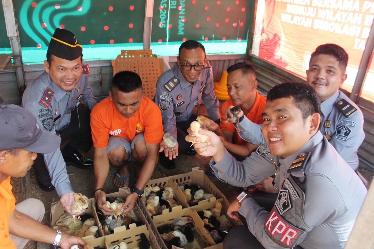 Rutan Rengat Kembangkan Ternak Ayam Kampung
