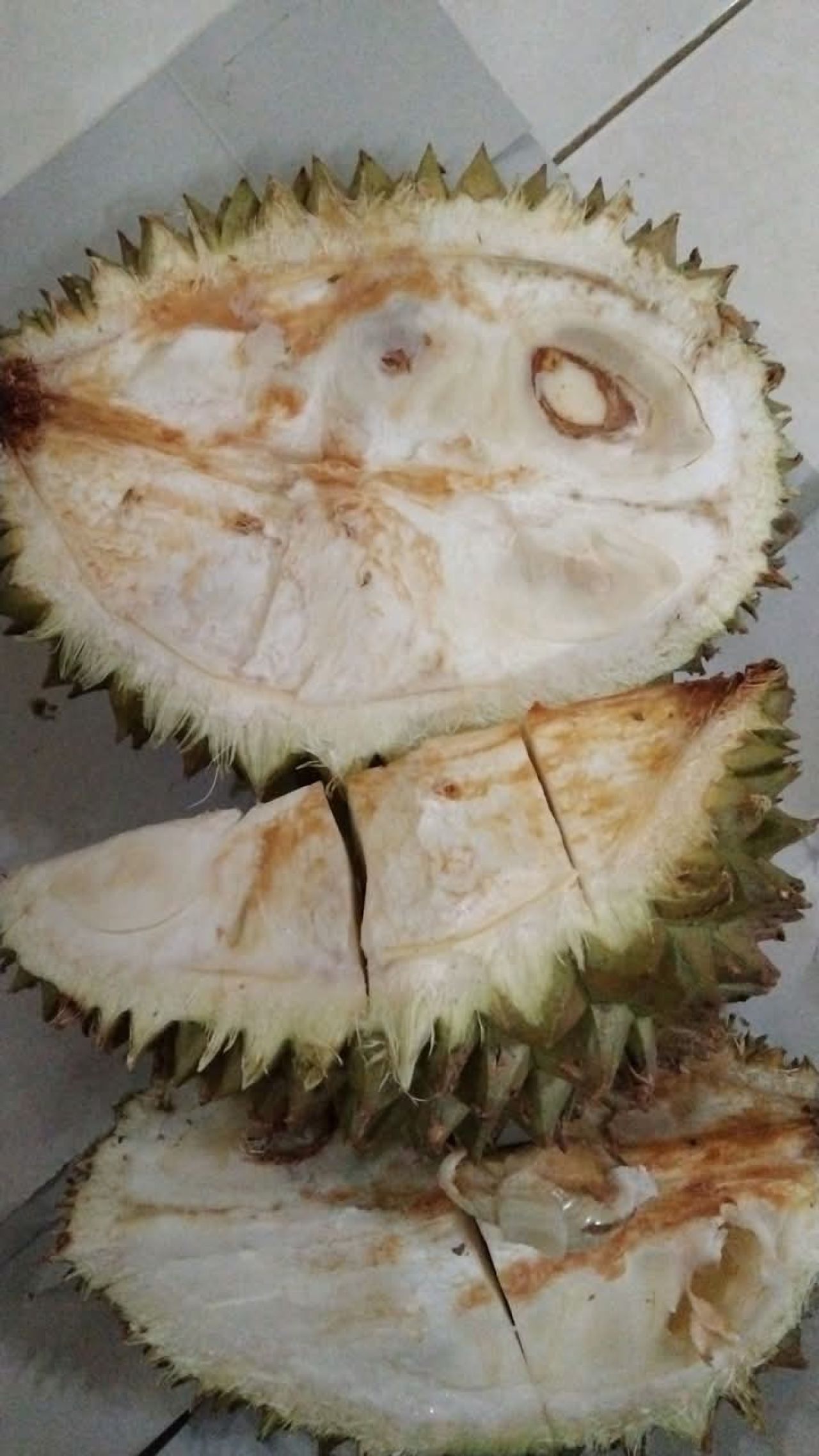 Beli Durian Busuk di Area Masjid Cheng Hoo Pasuruan