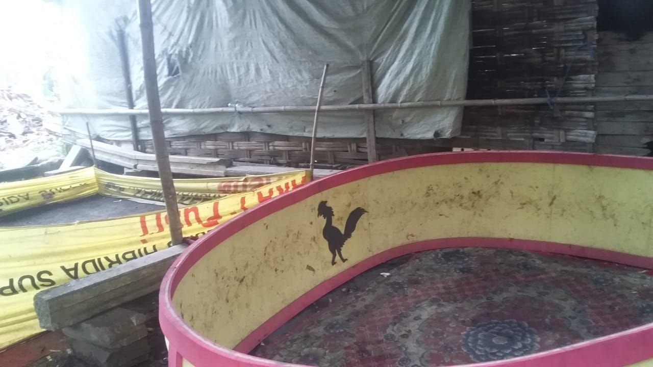Arena sabung ayam di Desa Sedenganmijen yang belum dimusnahkan oleh Polsek Krian