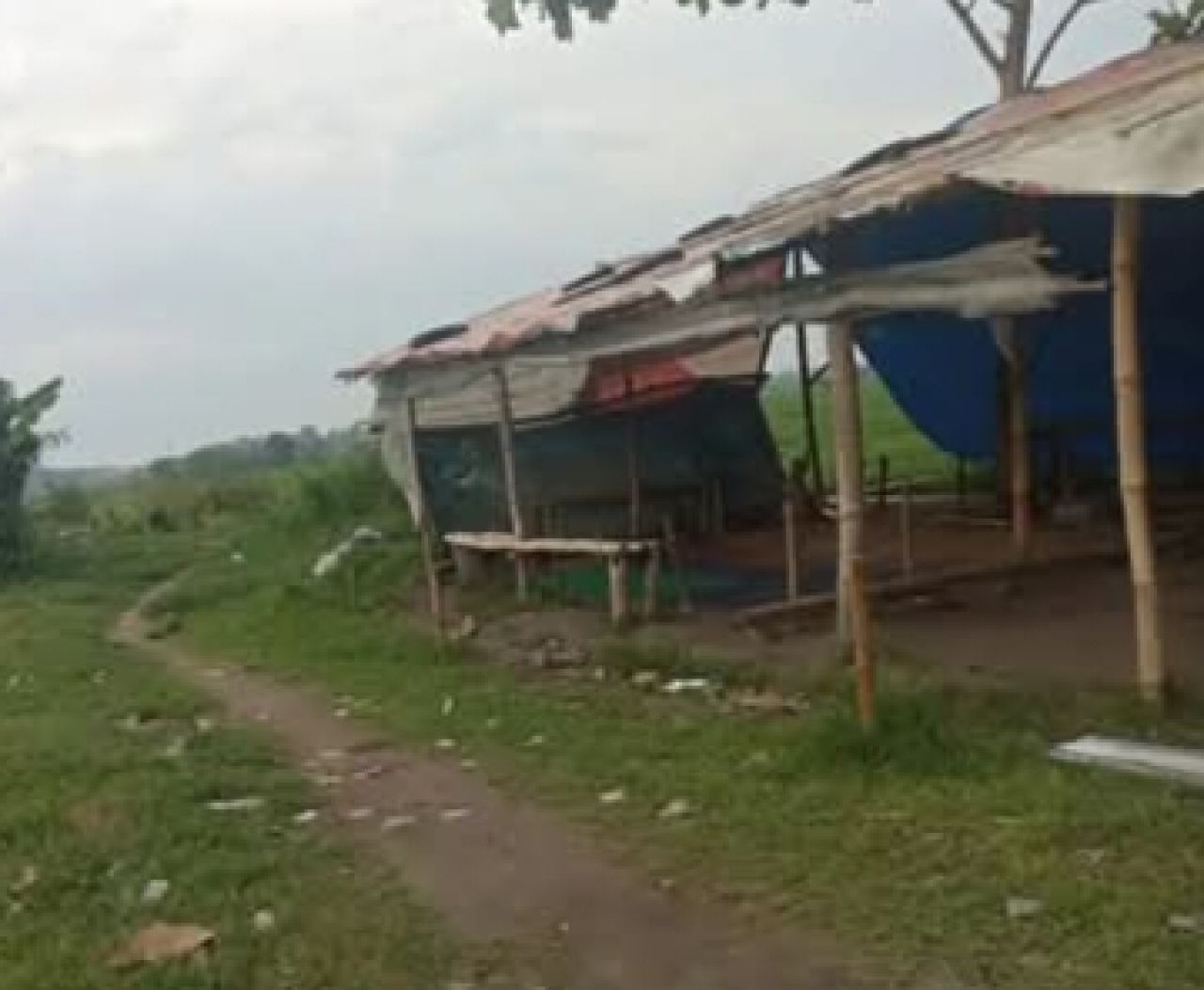 Arena sabung ayam di Desa Kedungmaling