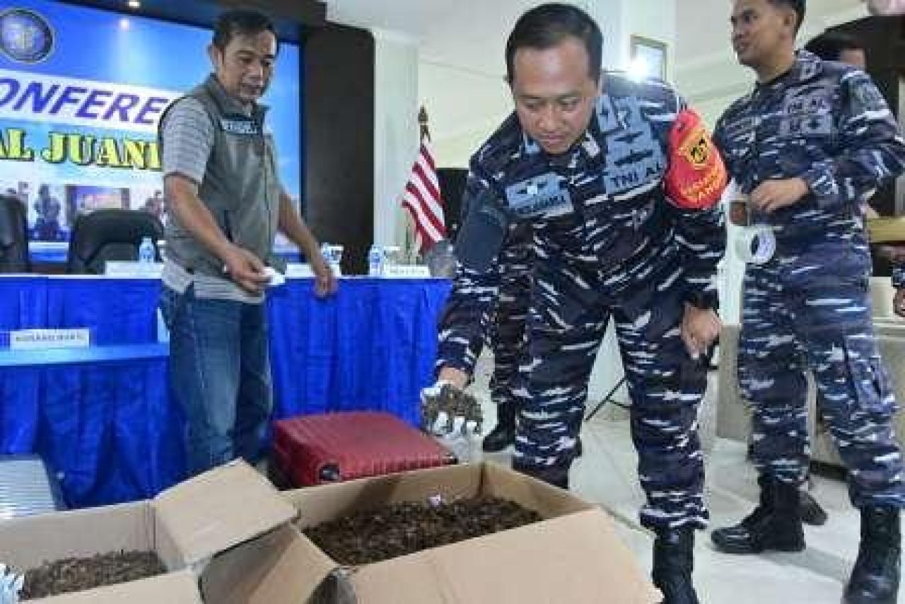 Satgaspam TNl AL Bandara Juanda Gagalkan Upaya Penyelundupan 54 Kg Kalajengking
