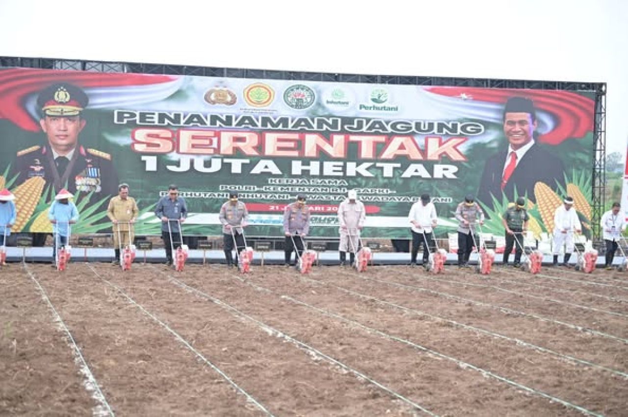 Pabrik Jagung PT Pangan Merah Putih Dibangun oleh Polda Kalbar dan Pemkab Bengkayang