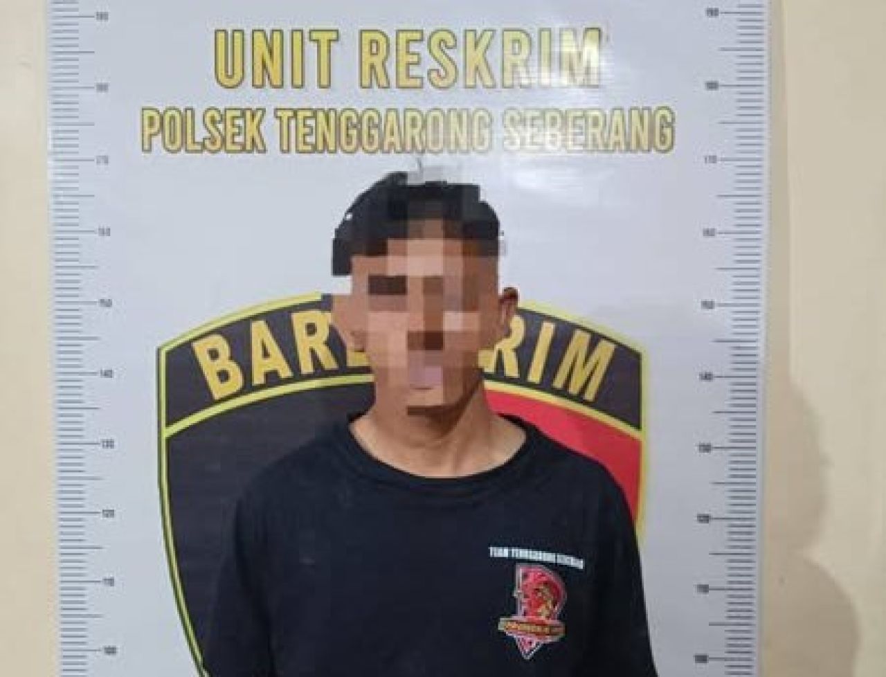 Pelaku yang ditangkap berinisial TWS