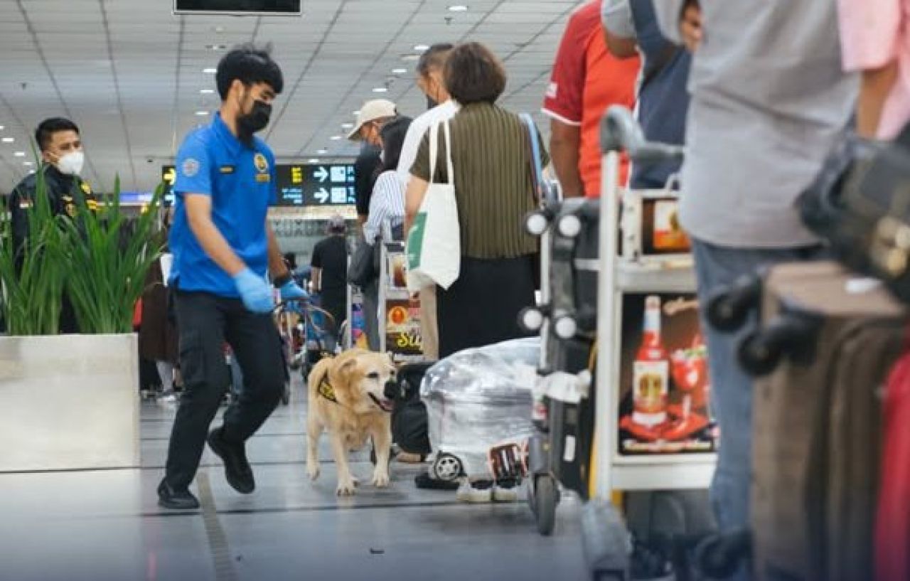 Penyelundupan narkoba lewat bandar udara