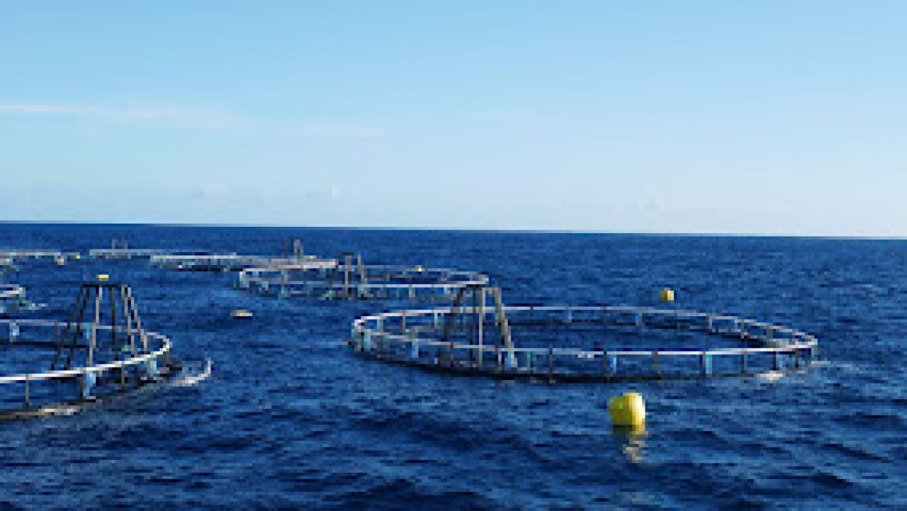 PT Tequisa Indonesia