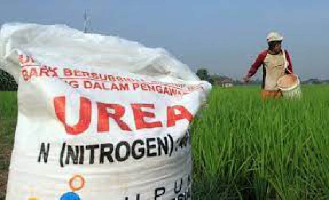Pemuda Garuda Bersatu Temukan Banyak Kios Jual Pupuk Bersubsidi di Atas HET di Tuban