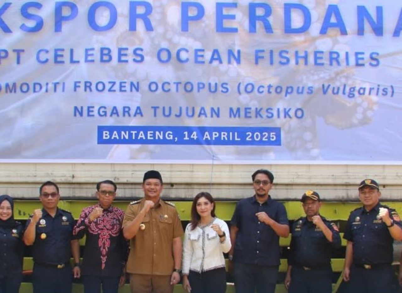 PT Celebes Ocean Fisheries Ekspor 22 Ton Gurita Beku ke Pasar Meksiko