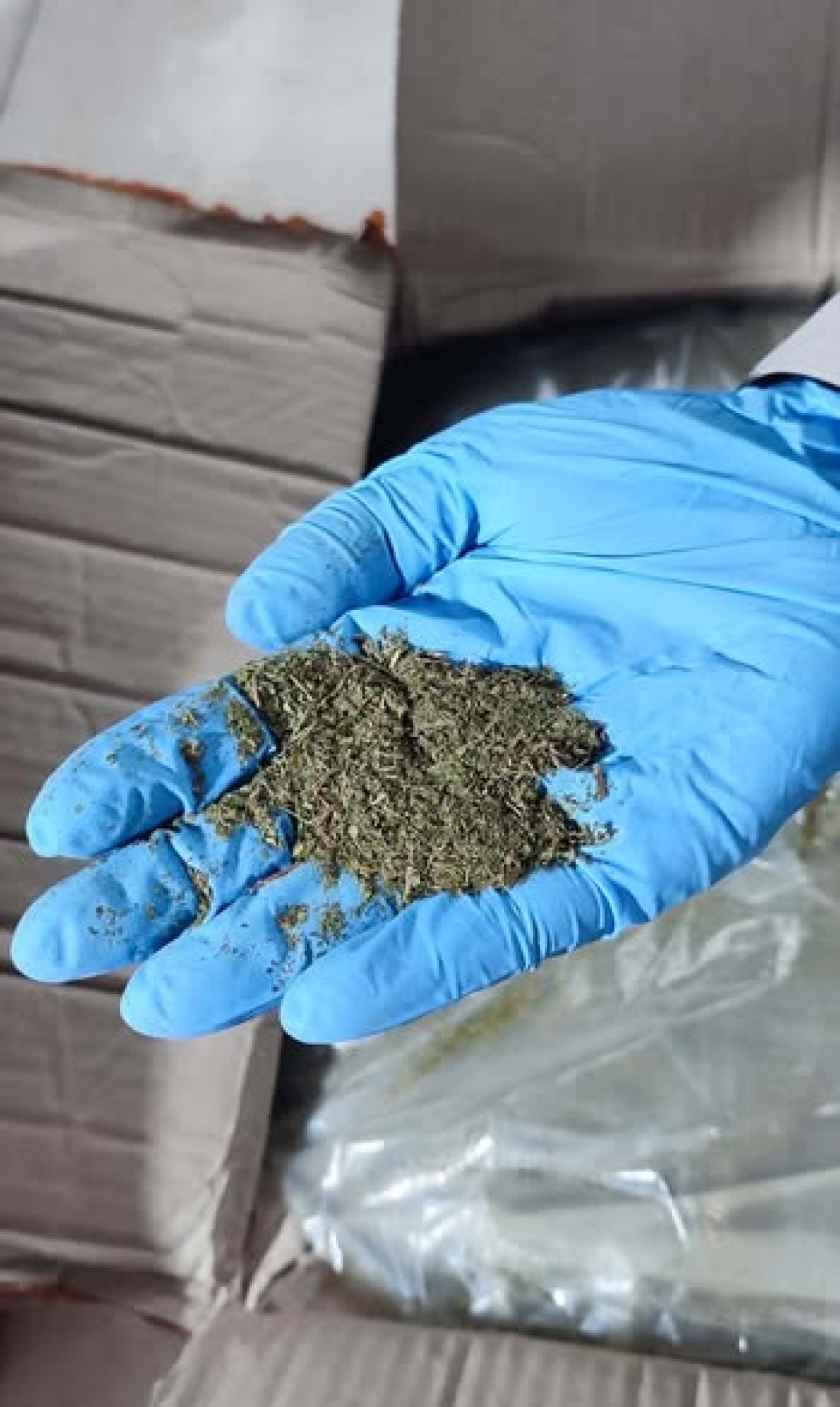 100 Kg Kratom Diekspor ke India dari Banten