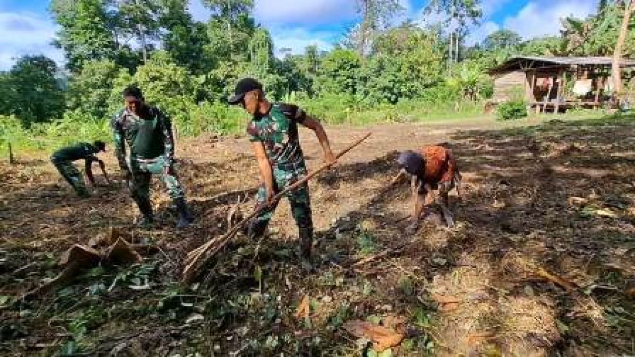 Satgas Yonif Qurata Yudha dan Warga Unggalom Buka Lahan Ketahanan Pangan