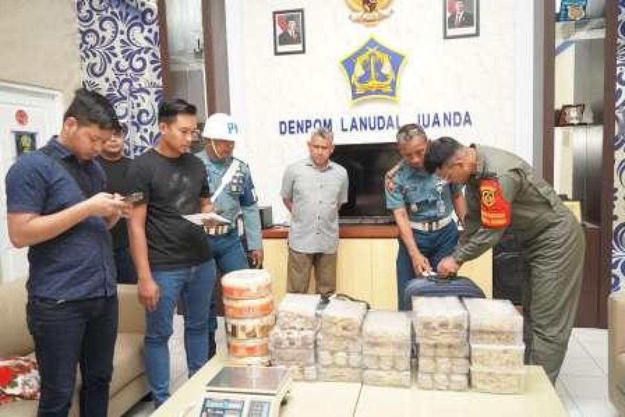 Pengiriman Sarang Burung Walet Ilegal Digagalkan Di Bandara Juanda