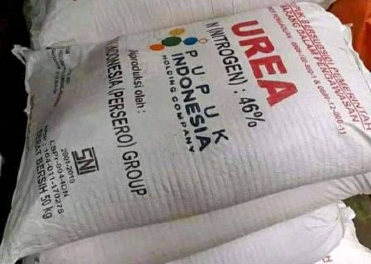 Ada Gudang Penimbunan Pupuk Bersubsidi Ilegal di Desa Sumolawang, Mojokerto