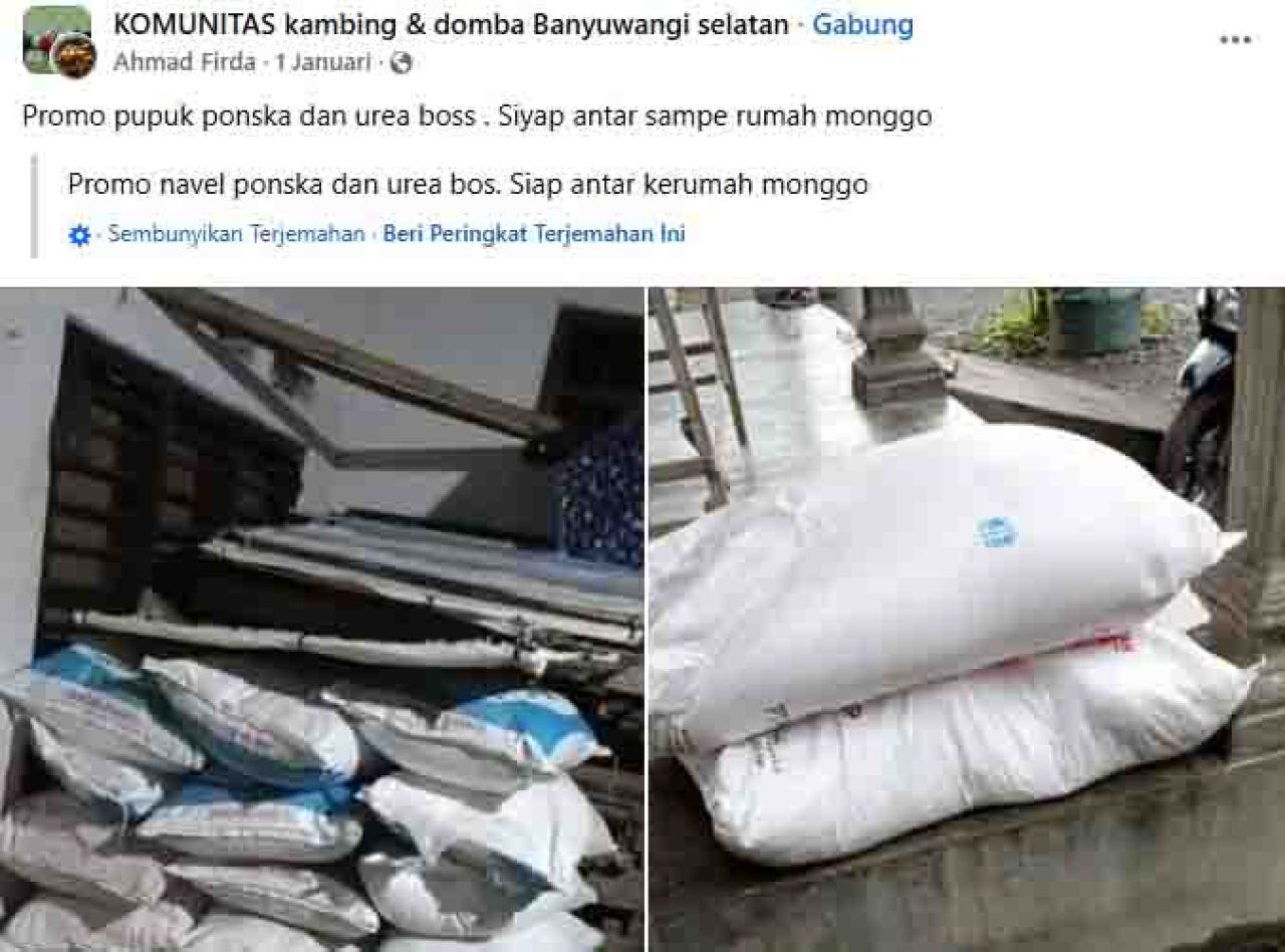 Jual Pupuk Subsidi di Facebook, Warga Desa Parijatah Ditangkap Polresta Banyuwangi