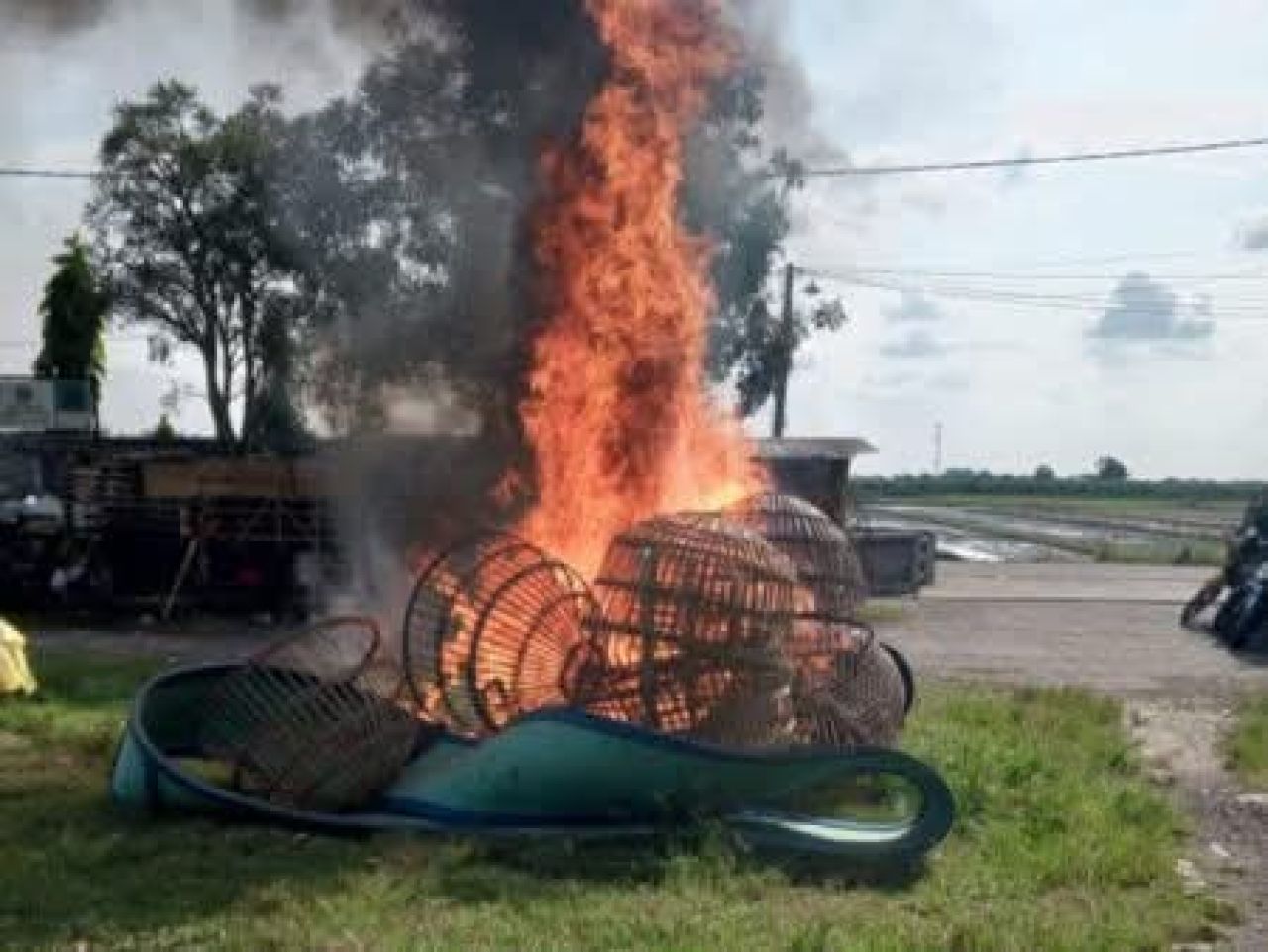 Polsek Krian Grebek Lokasi Sabung Ayam di Desa Sedenganmijen