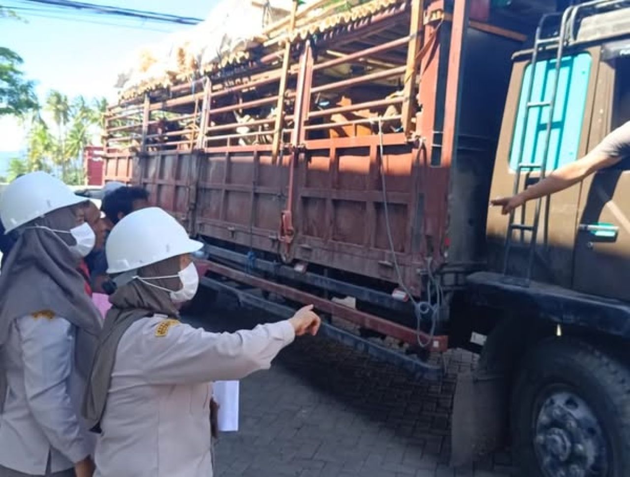 28.429 Ekor Sapi Kurban Masuk Jawa Timur Lewat Pelabuhan Ketapang