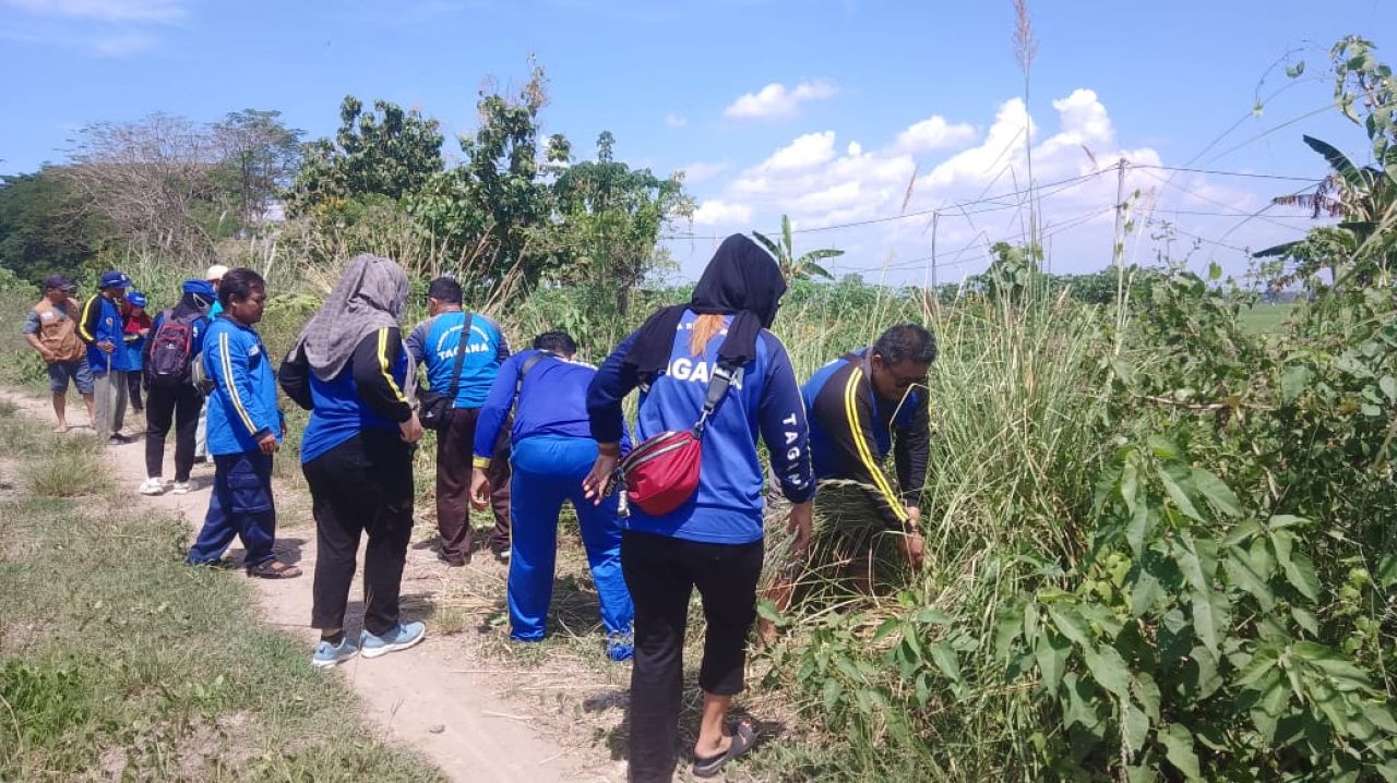 Tagana Kabupaten Madiun Tanam Bibit Akar Wangi di Tepi Sungai Piring