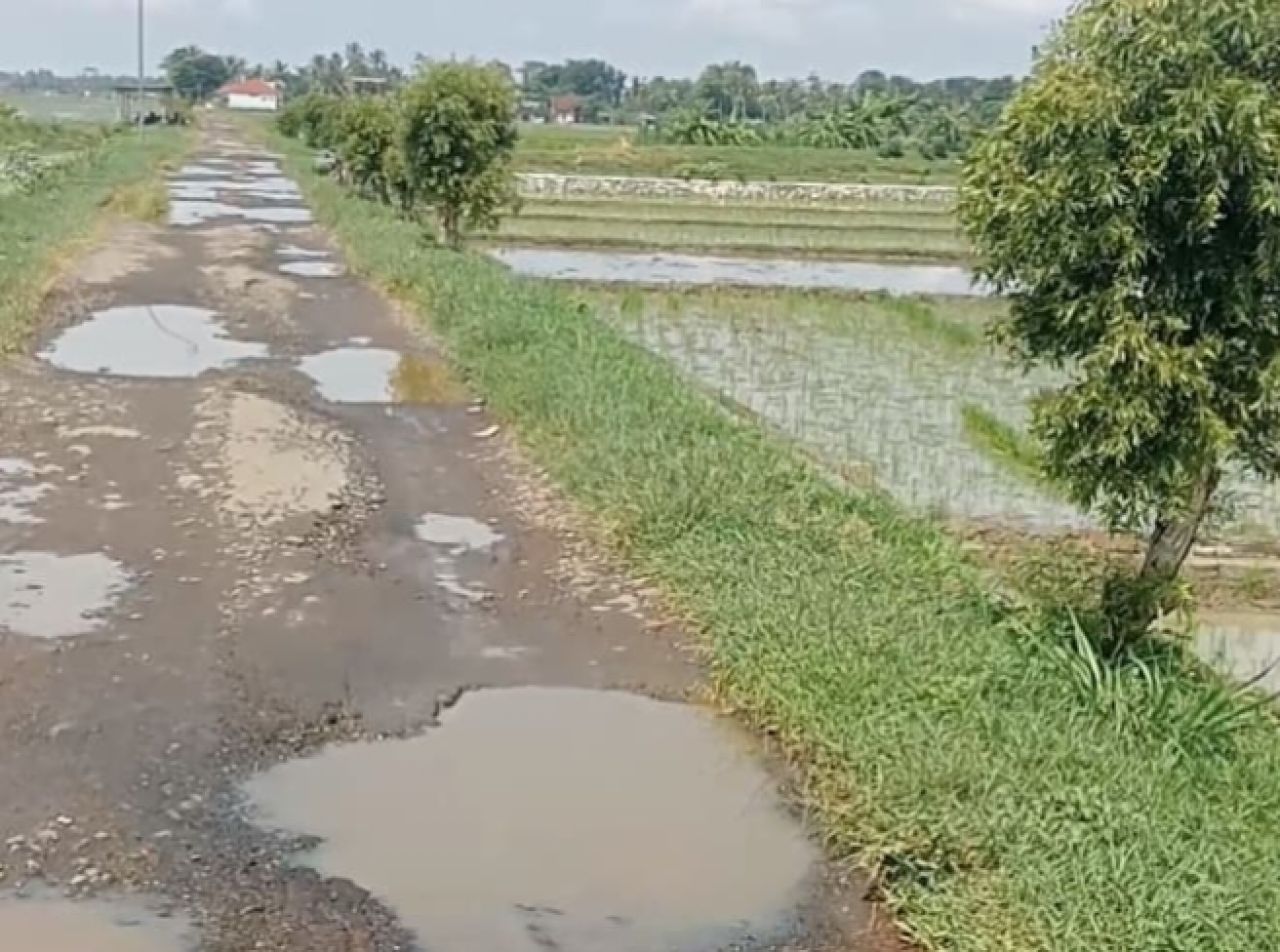 Jalan Penghubung Desa Bulusari dan Desa Ci Sumur Rusak Parah