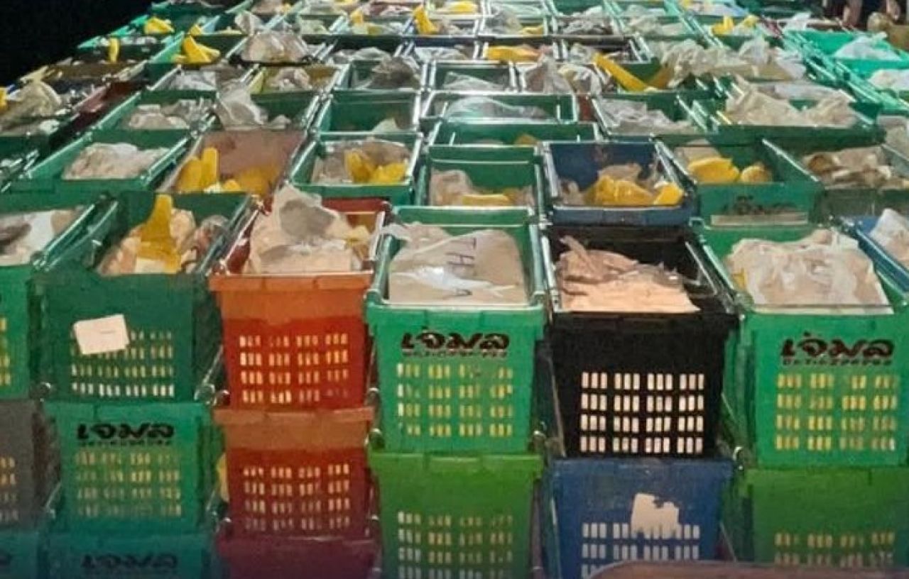 Bea Cukai Gagalkan Pemasukan 15 Ribu Kilogram Mangga Ilegal ke Indragiri Hilir