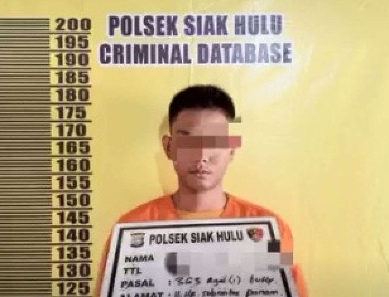 Polsek Siak Hulu Tangkap Pelaku Curanmor Yang Beraksi di 3 TKP