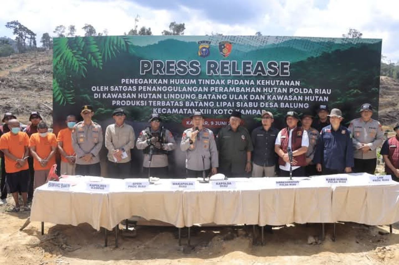 Rilis kasus perambah hutan oleh Polda Riau