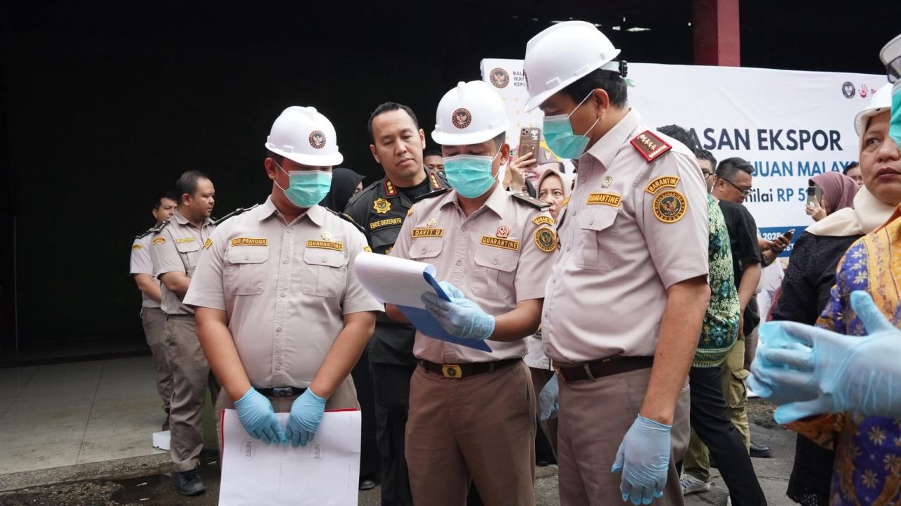 Sertifikasi terhadap 19,2 ton daging kelapa